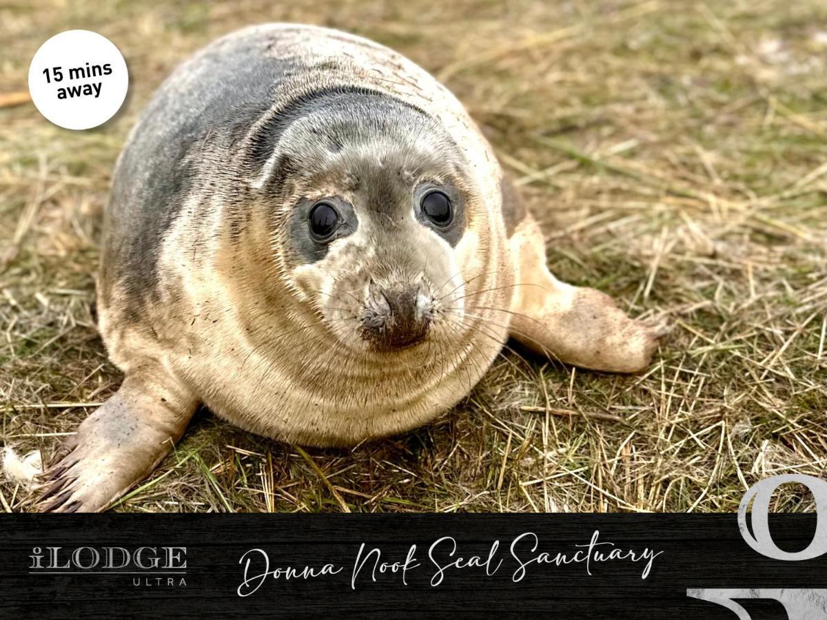 iLodge Ultra Louth  Esterno foto